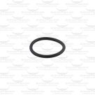 Main Bush Oil Seal for Lister Shogun