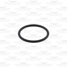 Main Bush O-Ring for Lister Shogun