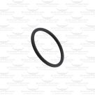 Main Bush O-Ring for Lister Shogun