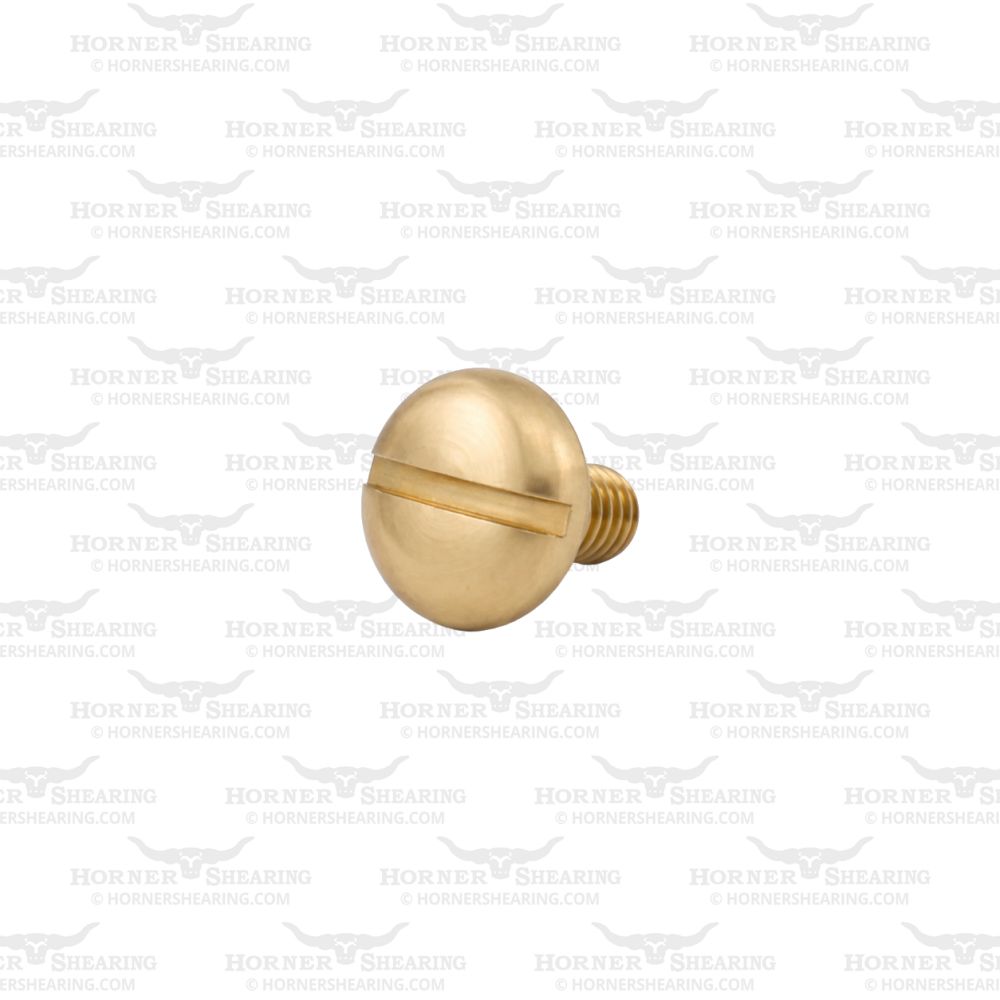 2 - Motor Locating Screw