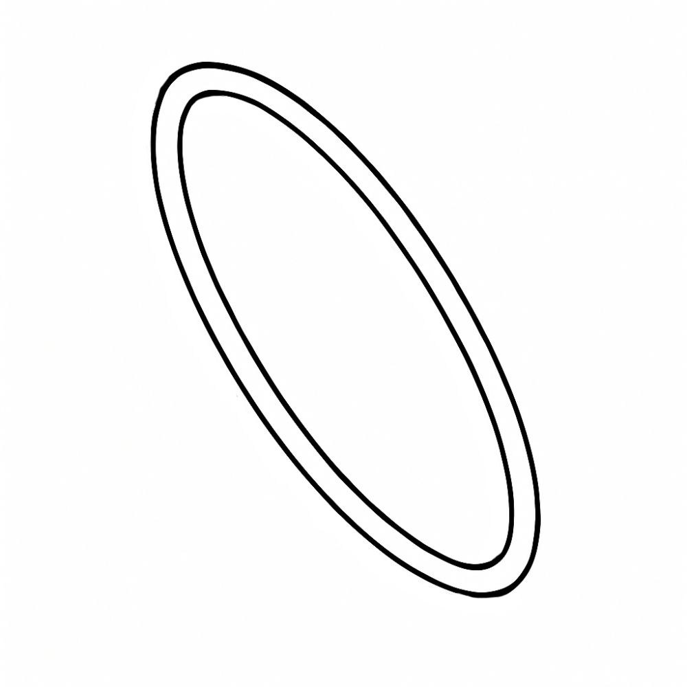 10 - O-Ring