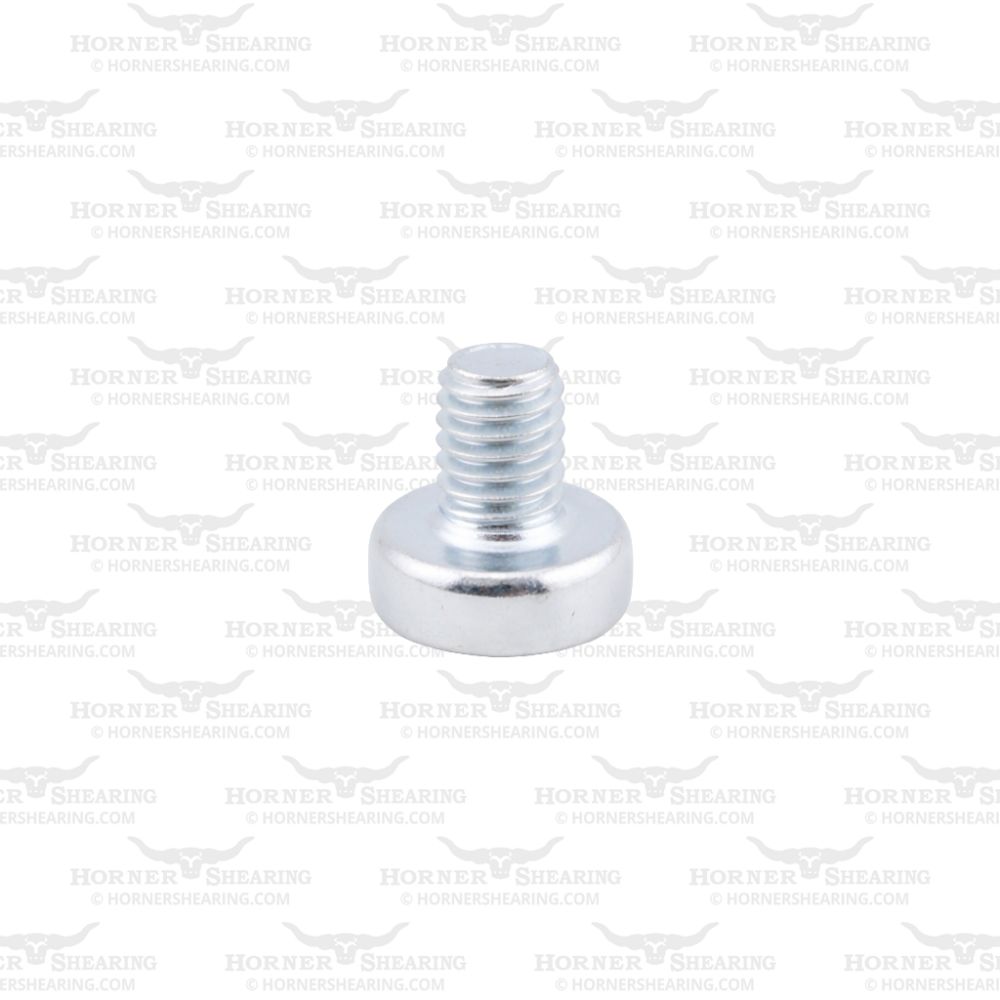 33 - Screw M3 x 4mm