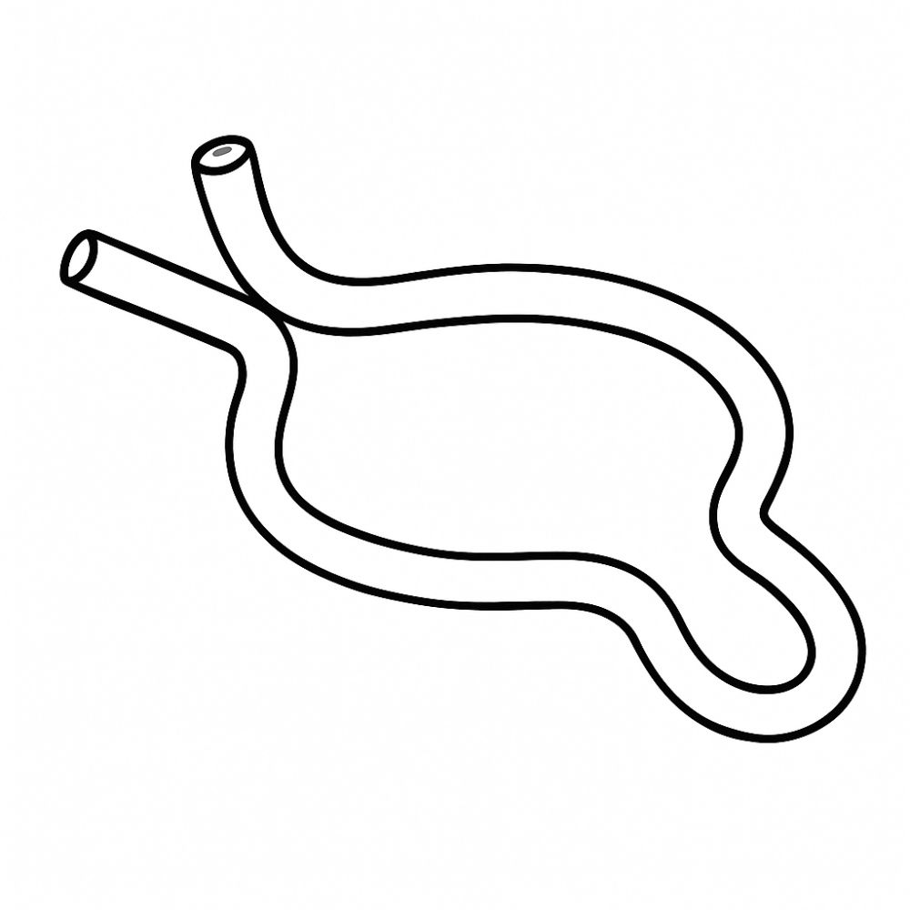 45 - Spring Clip for Spindle Housing