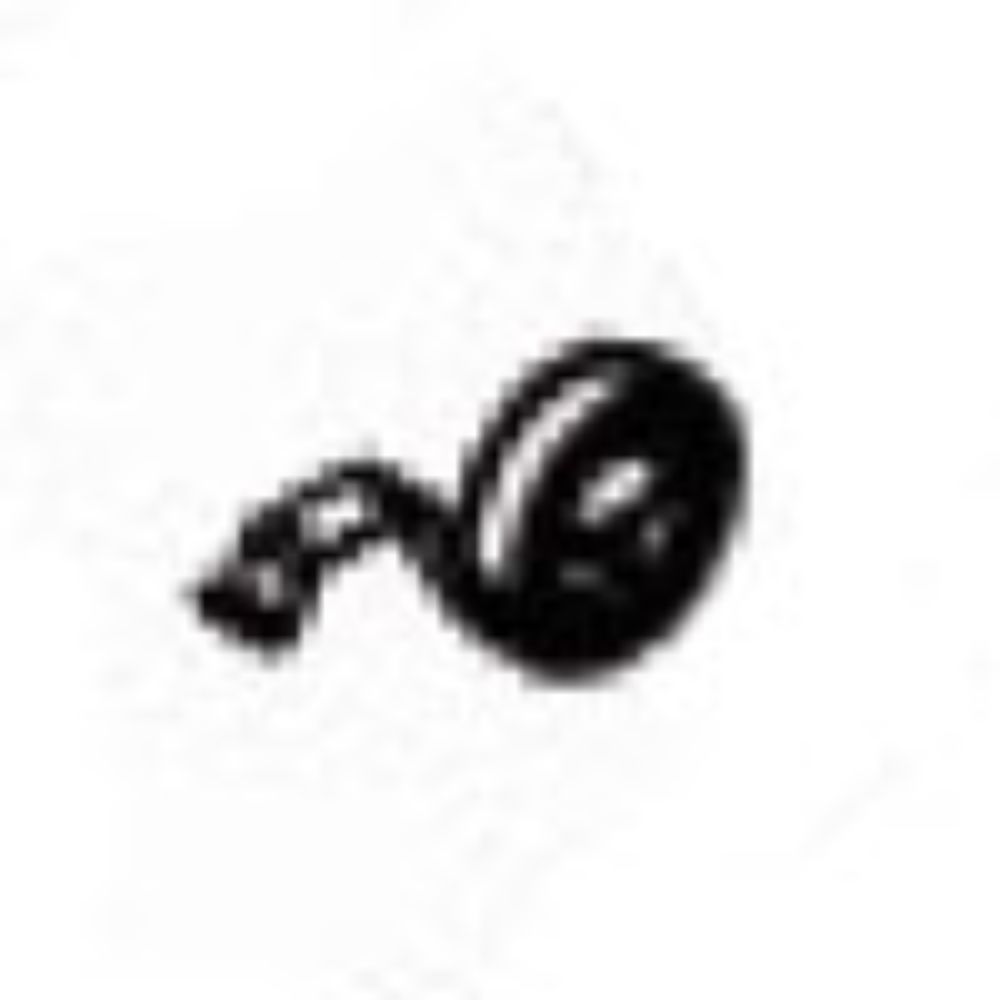 42 - Carbon Brush Spring