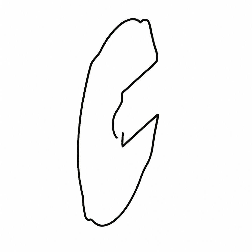 21 - Cover Front Left