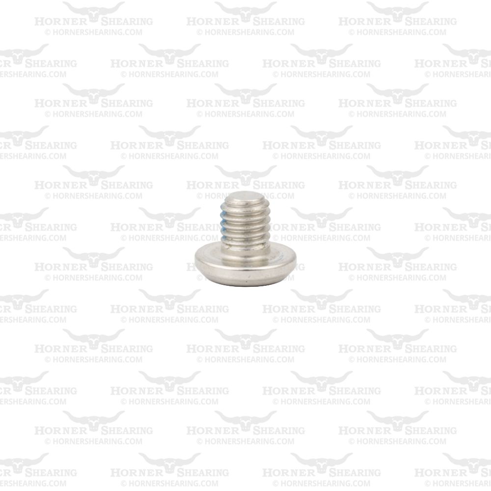 31 - Panhead Screw M4 x 5mm
