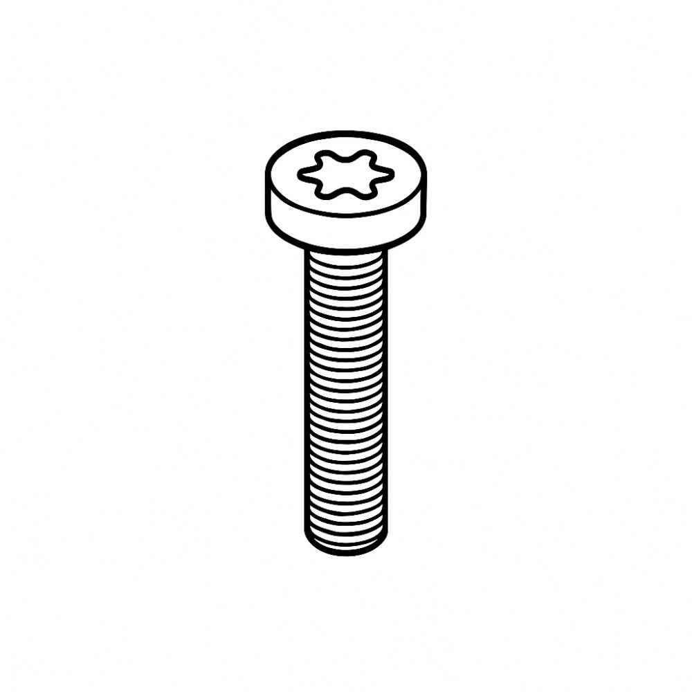 5 - LS Screw, Torx M6 x 30