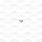 Fork Retainer Screw for Rambo