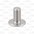 Shaft End Screw for Longhorn Pendulum