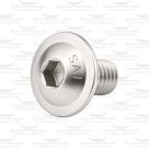 Shaft End Screw for Longhorn Pendulum