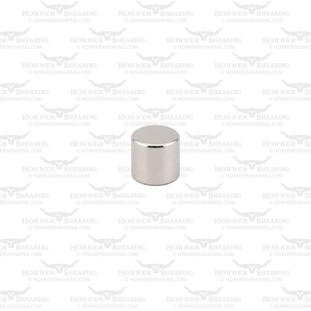 12 - Magnet