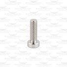 Plate Retaining Screw for Longhorn Pendulum