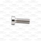 Plate Retaining Screw for Longhorn Pendulum