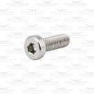Plate Retaining Screw for Longhorn Pendulum