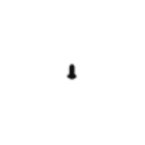 45 - Rubber Foot Fixing Screw