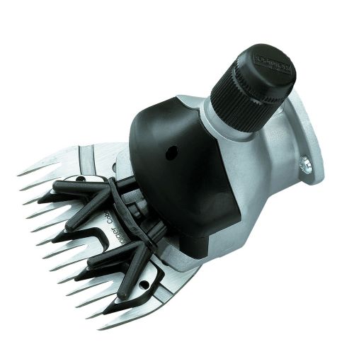 Complete Head