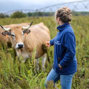 Longhorn Highland Fleece