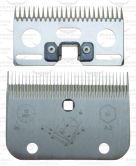 A2 - Horse (Standard)