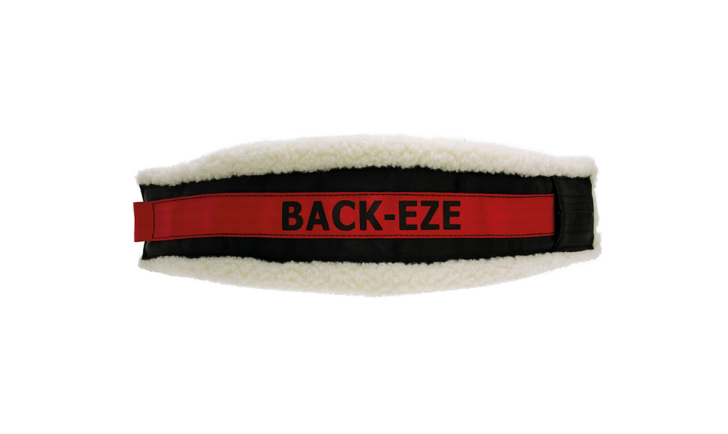 Back-Eze Crutching Belt