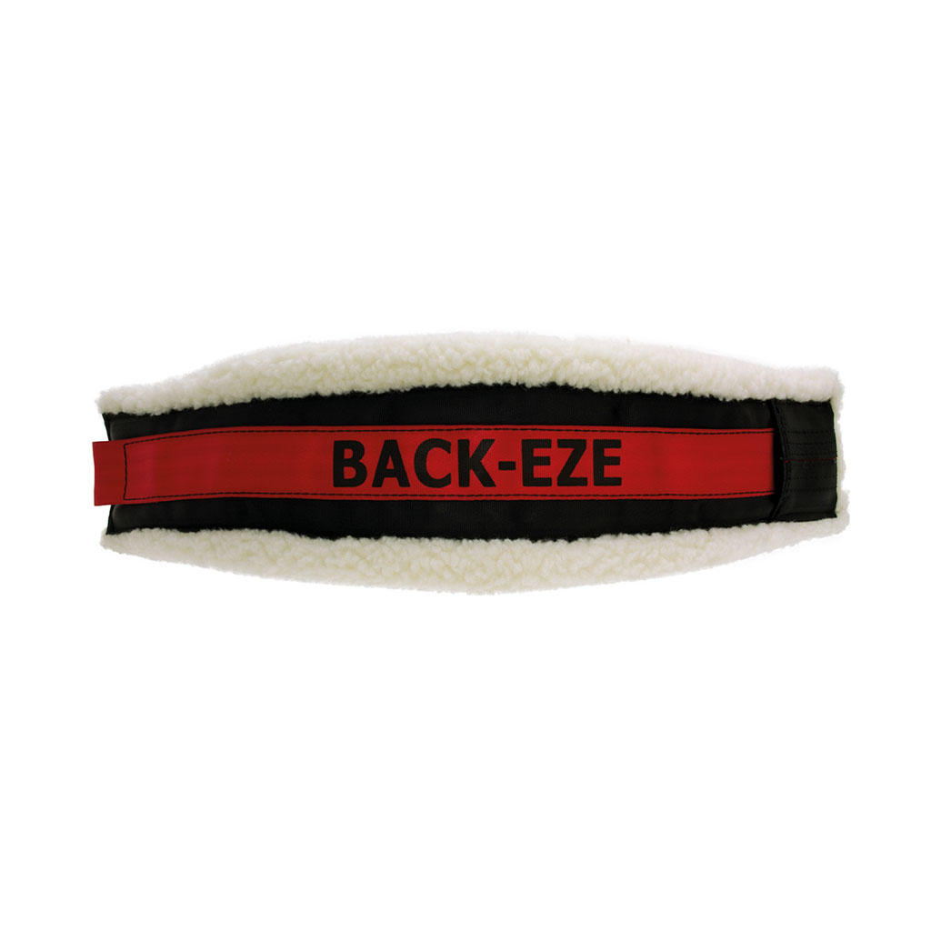 Back-Eze Crutching Belt