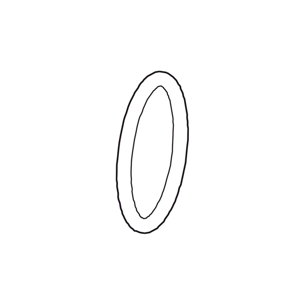 32 - O Ring (Outer)