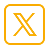 x icon