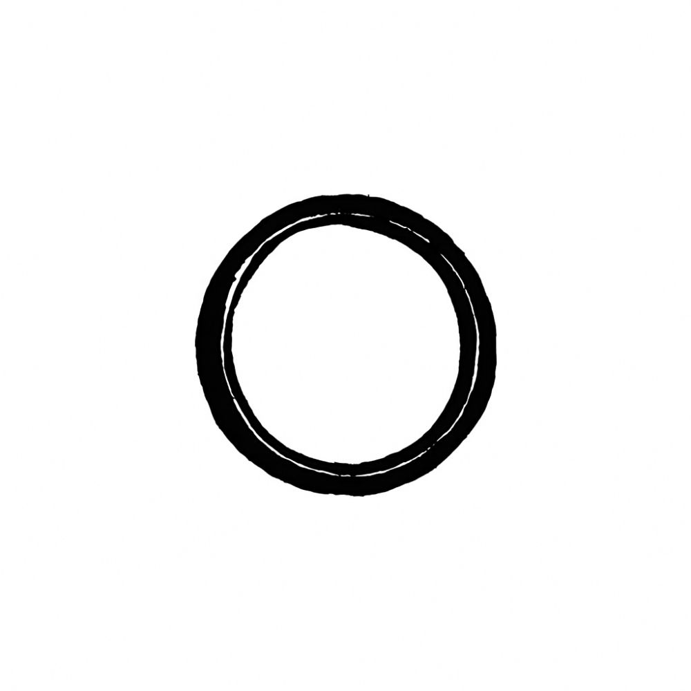 24 - Split Ring