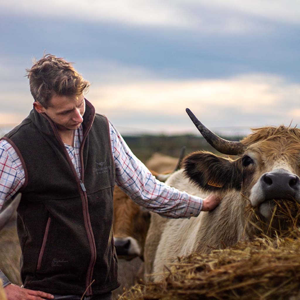 Longhorn Shearing Gilet