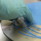 ShearGrip® Adhesive - Application