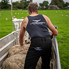 /acatalog/sheep shearing jeans lifestyle stretch