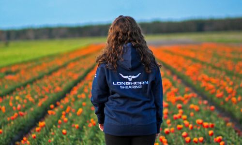 Longhorn Signature Series Hoodie