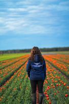Navy Signature Series Hoodie - Lifestyle