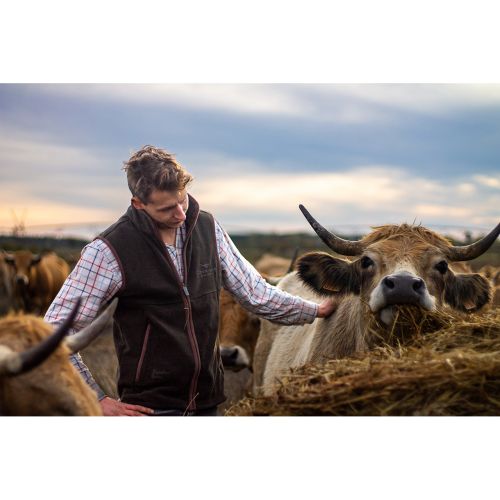 Longhorn Shearing Gilet