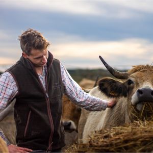 Longhorn Shearing Gilet